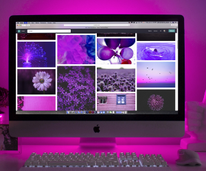 Ui / Ux Designing